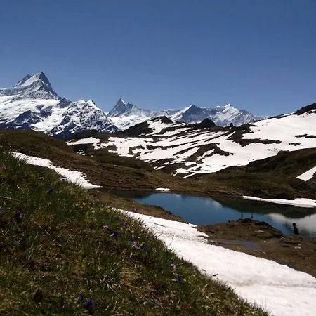 Chalet Ahaben * Grindelwald